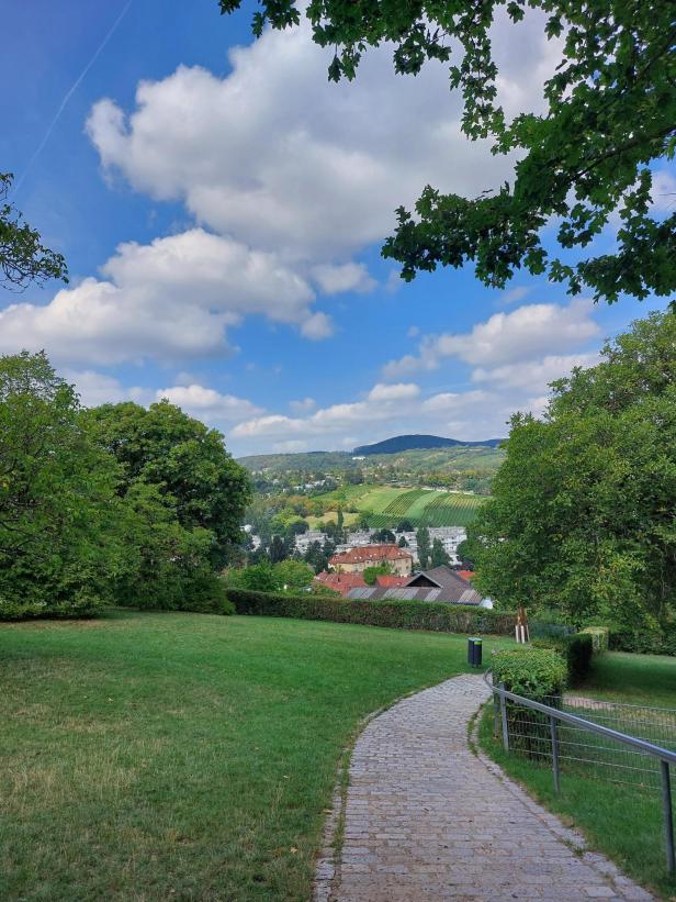 Ein gepflasterter Weg führt durch einen Park mit Blick auf eine Stadt und Hügel.