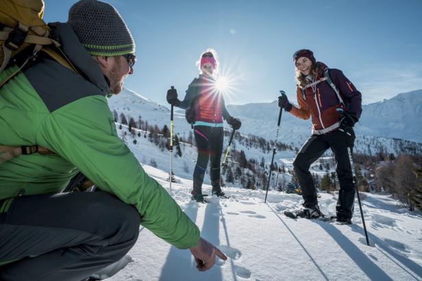 Tiefschnee-Safari im Nationalpark: Warum Gämsen keinen Pulverschnee mögen