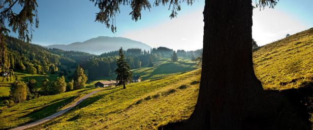 Eine ländliche Szene mit grünen Hügeln, Wald und einem Berg im Hintergrund.