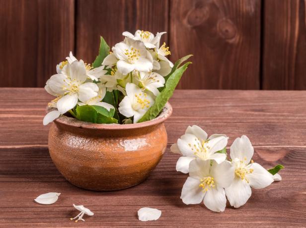 Ein Strauß Jasminblüten in einem rustikalen Topf auf einem Holztisch.