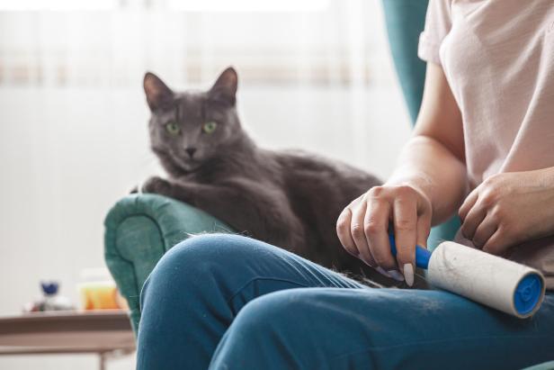 Eine Frau entfernt Katzenhaare mit einer Fusselrolle von ihrer Kleidung, während eine Katze im Sessel liegt.
