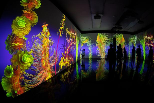 Besucher betrachten eine immersive Kunstinstallation mit farbenfrohen, animierten Pflanzenprojektionen.