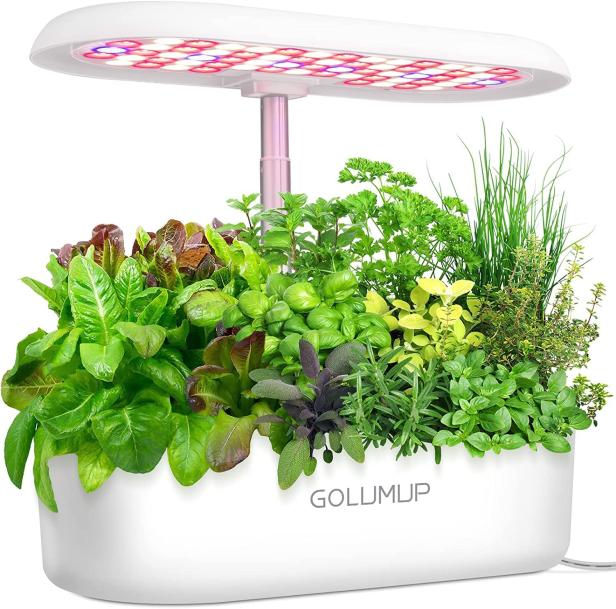 Ein Kräutergarten mit Salat, Basilikum, Petersilie und anderen Kräutern unter einer LED-Lampe.