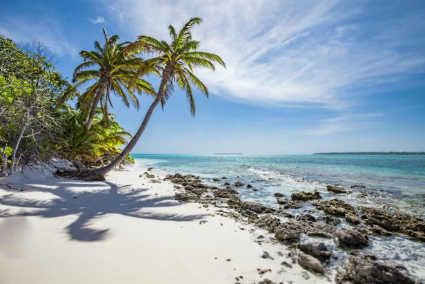 Palmen neigen sich über einen weißen Sandstrand mit türkisfarbenem Wasser.