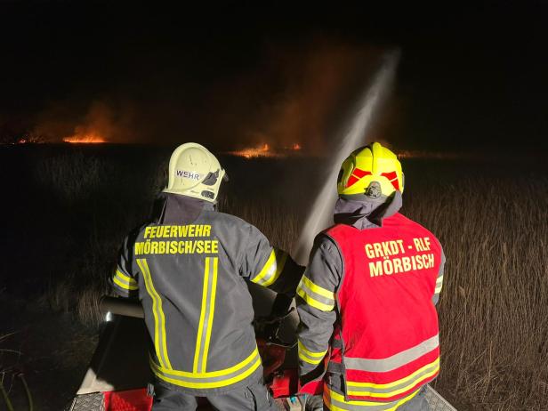 Neusiedler See: Schilf stand erneut in Flammen