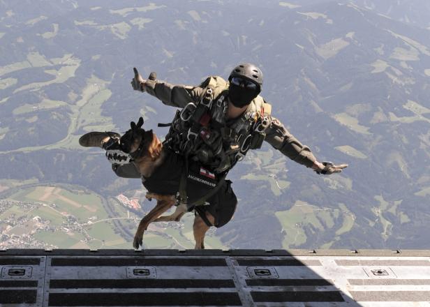 NÖ: Soldat von Hunden getötet - Jagdkommando hat neuen Luxus-Zwinger