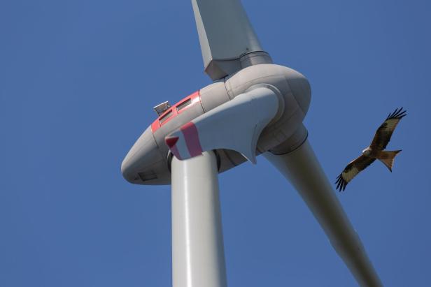 Positiver UVP-Bescheid für Windpark: Einsprüche sind fix