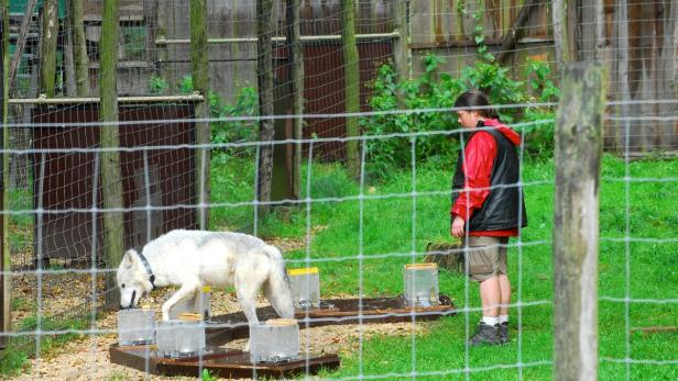 "Der böse Wolf ist ein Märchen"