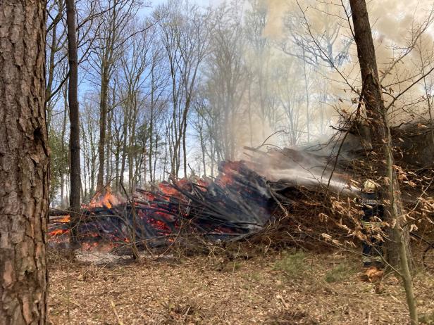 Flammen in Wald: Hundert Feuerwehrleute rückten im Burgenland aus