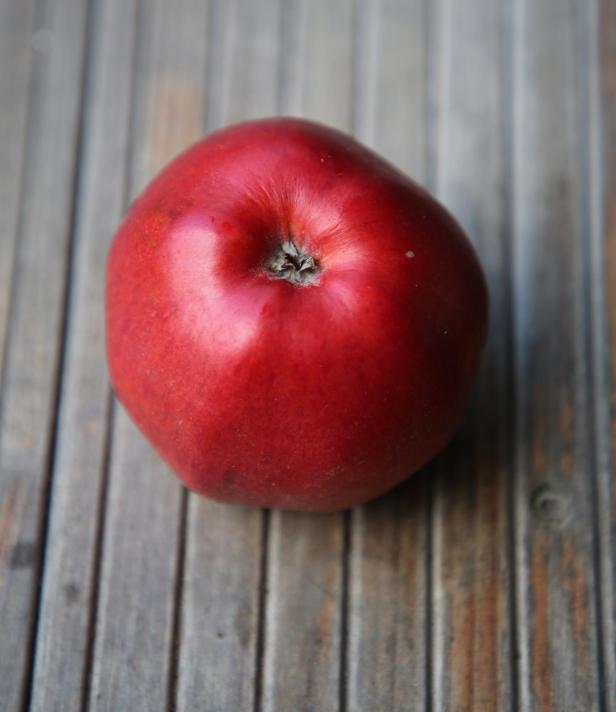 Äpfel:  buntes, rundes und gesundes Kernobst