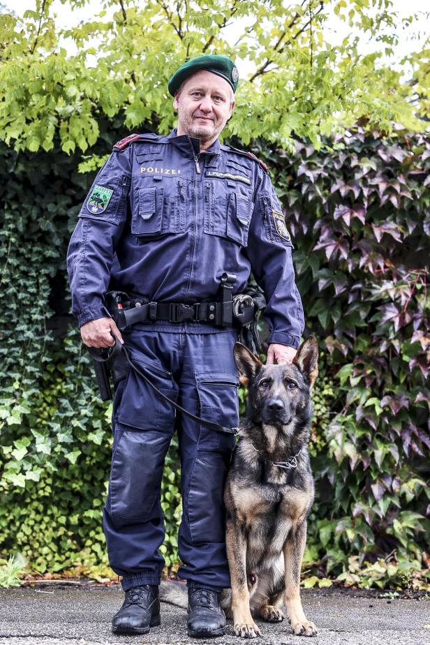 Tötungsdelikt im Flachgau: Polizeihund Dionysos stöberte Tatverdächtigen auf