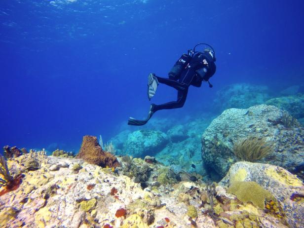 Ein Taucher erkundet ein farbenfrohes Korallenriff im tiefblauen Meer.