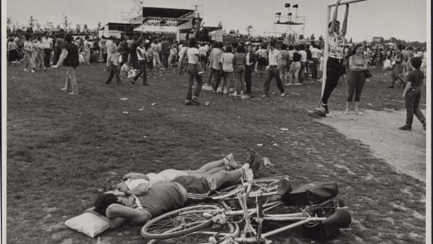 Donauinselfest: Amy und die Sportfreunde begeisterten