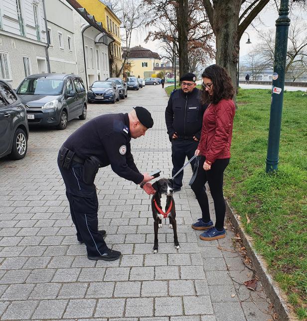 Ordnungsdienst kontrolliert in Linz