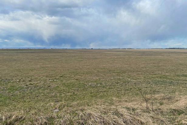 Neusiedler See: Neue Prognosen zur Wasserthematik sind "nicht gut"