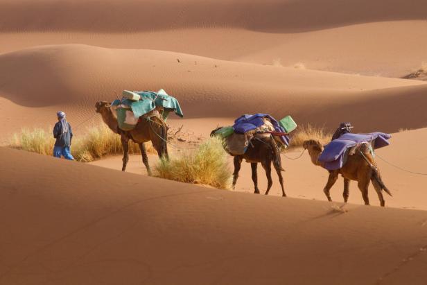 Marokko: Das Weite gesucht – und gefunden