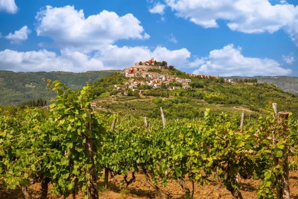 Eine malerische Stadt thront auf einem Hügel, umgeben von einem Weinberg.