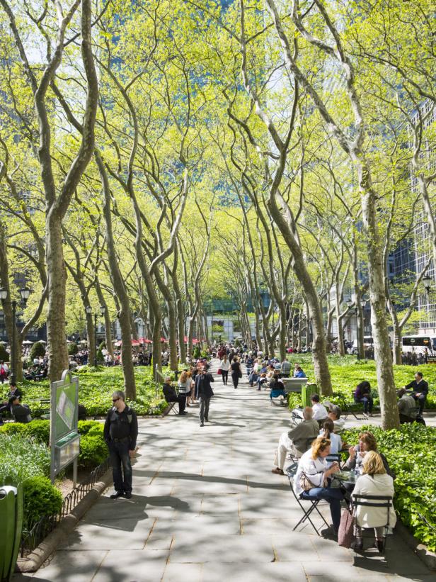 Menschen entspannen sich im Bryant Park in New York unter den Bäumen.