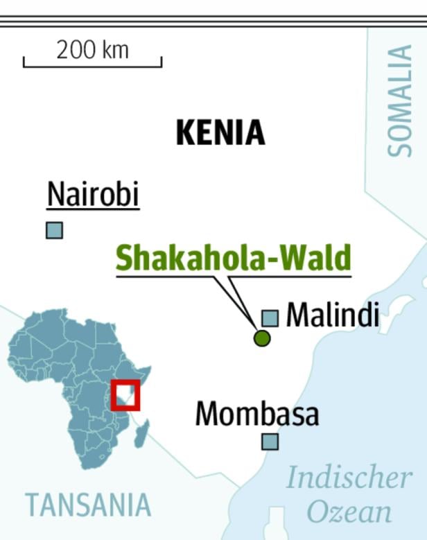Mindestens 95 Tote durch Sektenkult in Kenia