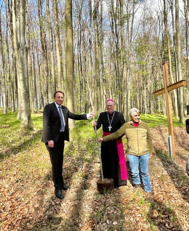Waldbestattungen ab sofort im Klosterwald St. Pölten möglich