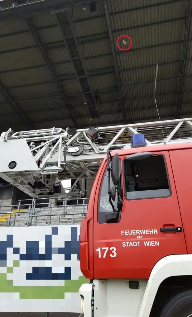 Ein rotes Feuerwehrauto der Stadt Wien mit ausgefahrener Leiter vor einem Gebäude.