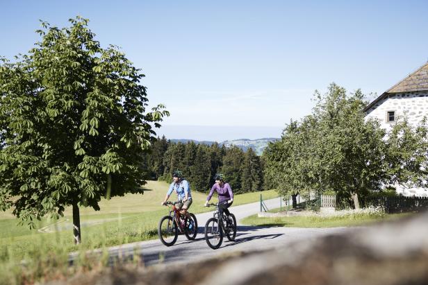 Zwei Personen fahren mit Mountainbikes auf einer Straße in ländlicher Umgebung.