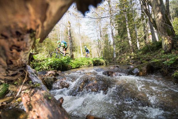 Zwei Mountainbiker fahren auf einem Waldweg an einem Bach entlang.