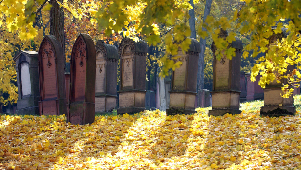 Grabsteine auf dem ältesten jüdischen Friedhof Europas, bedeckt mit gelben Blättern unter Herbstbäumen.