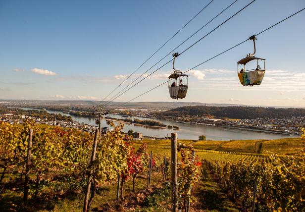 Zwei Gondeln schweben über einem Weinberg mit Blick auf den Rhein.