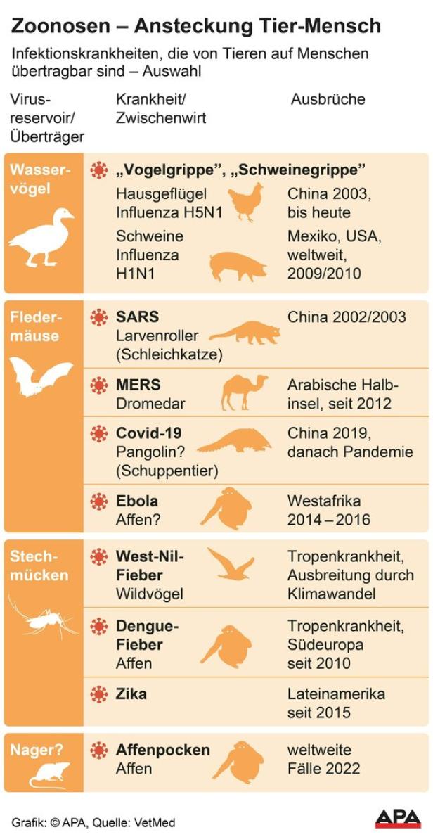 West-Nil-Virus breitet sich laut Drosten in Deutschland aus