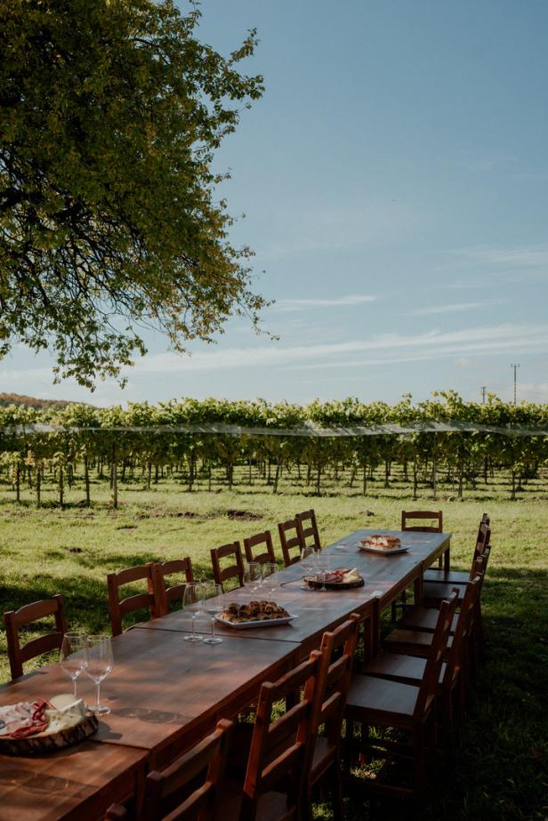Ein gedeckter Holztisch mit Speisen und Gläsern in einem Weinberg.