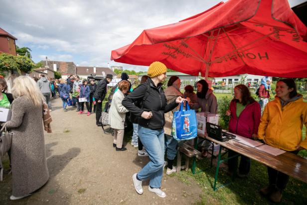 Das war das Eröffnungsfest auf der City Farm im Augarten