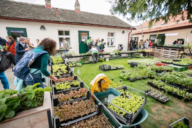 Das war das Eröffnungsfest auf der City Farm im Augarten