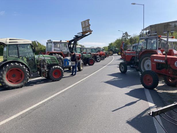 Demo für Neusiedler See: „Klimakleber machen es uns nicht leicht“