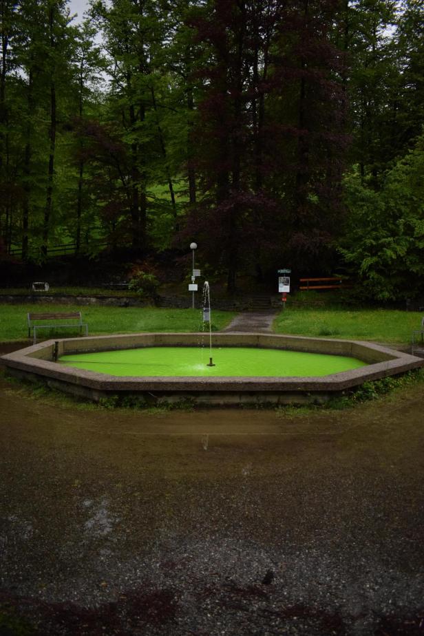 Klima-Aktivisten färbten in Vorarlberg 20 Brunnen grün ein