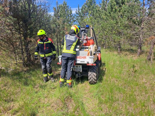 Waldbrand im Föhrenwald bei Wiener Neustadt fordert die Feuerwehr