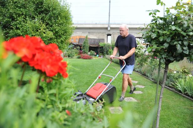 Ein Mann mäht den Rasen in einem gepflegten Garten.