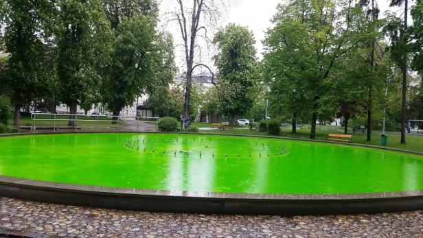 Klimaaktivisten färbten Brunnen im Kremser Stadtpark grün ein