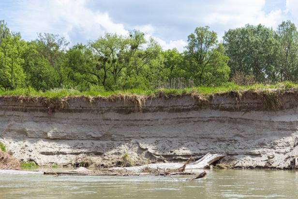 Wie sich die Nationalparks gegen den Klimawandel stemmen