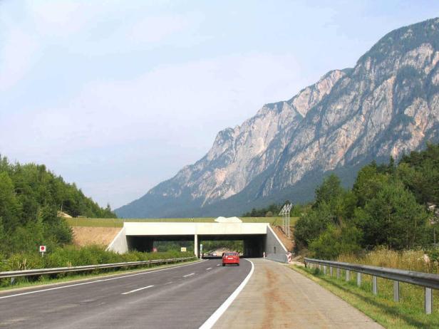 Autobahnüberführung für Bären in Kärnten erhält Videoüberwachung