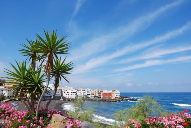 Ein Küstenort mit dunklem Sandstrand, Palmen und blühenden Blumen unter blauem Himmel.