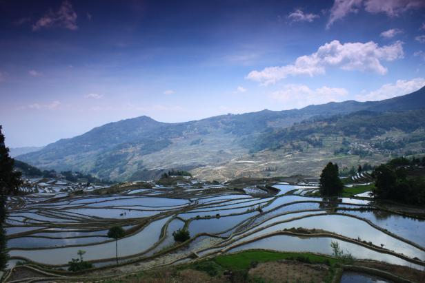 Blick auf die Reisterrassen von Yuanyang in China.