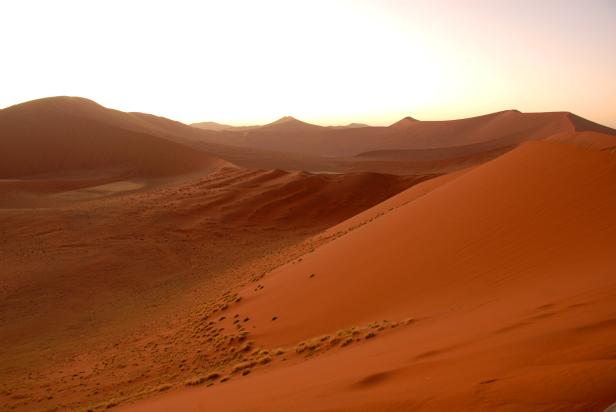 Die sanften, orangefarbenen Dünen der Namib-Wüste erstrecken sich bis zum Horizont.