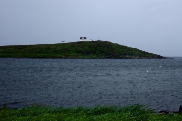 Ein kleines Haus steht auf einer grünen Insel im Meer.