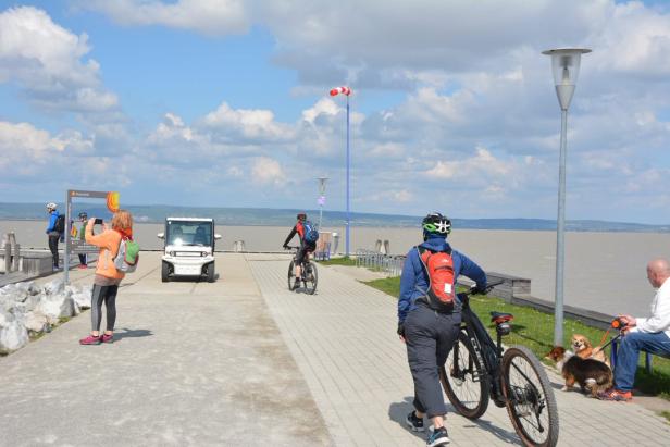 Den Neusiedler See retten – lohnt sich das noch?