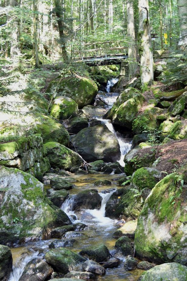 Gischt in Sicht: Wasserfall-Wandern in Niederösterreich