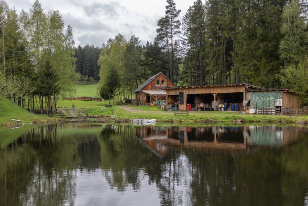 Ein Holzhaus mit Nebengebäude an einem kleinen See, umgeben von Bäumen.