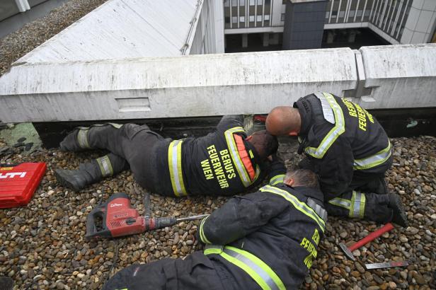 Betonrinne aufgestemmt: Wiener Feuerwehr rettet Kater