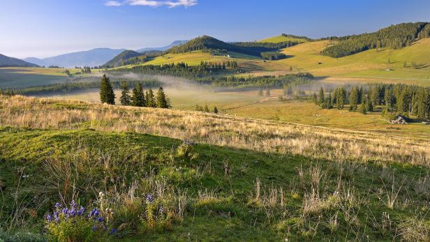 Reisen & Speisen in der Oststeiermark:  Ein geniales Erlebnis-Menü in 6 Gängen