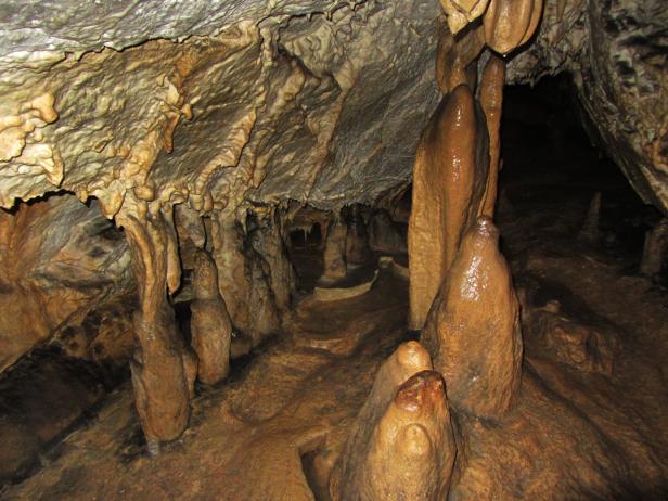 Das Innere einer Höhle mit Stalaktiten und Stalagmiten.